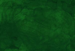 Green bg.jpg