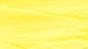 Yellow bg.jpg