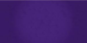 Purple bg.jpg